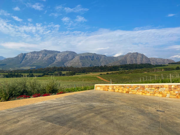 istock Vineyards with mountains, South Africa 1439520264