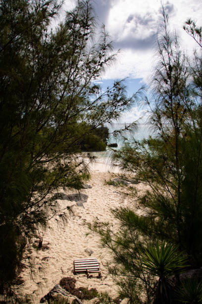 istock The amazing tropical views around Bermuda's beautiful beaches 1439522713