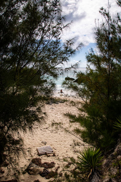 istock The amazing tropical views around Bermuda's beautiful beaches 1439522715