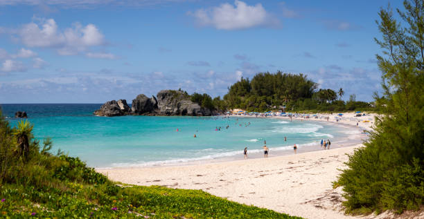 istock Horseshoe Bay Beach in Bermuda 1439522817