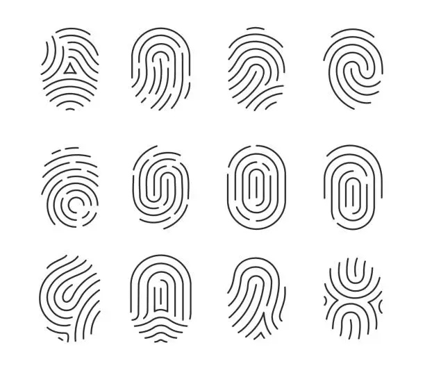 Vector illustration of Black fingerprint icons isolated on white background. Fingerprint Identification Symbol