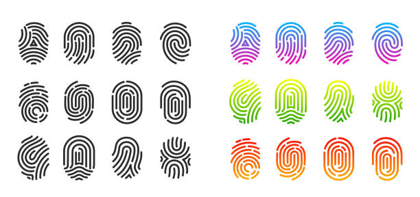 zestaw czarnych i kolorowych ikon odcisków palców - fingerprint thumbprint human finger track stock illustrations