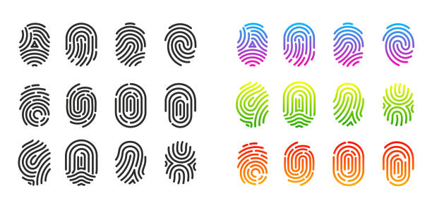 набор черных и красочных иконок отпечатков пальцев - fingerprint thumbprint track human finger stock illustrations