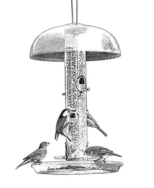 Vector illustration of Bird Feeder, Nuthatch, Purple Finch and Chickadee