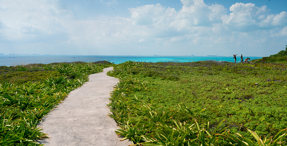 Natural Landscape of Isla Mujeres