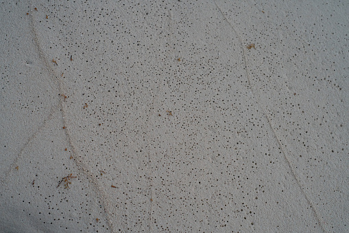 Close up of Air Bubbles in Sand after Waves washes over it
