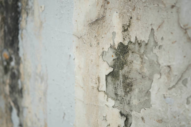 istock water leaks on the wall damage the paint. 1439531198