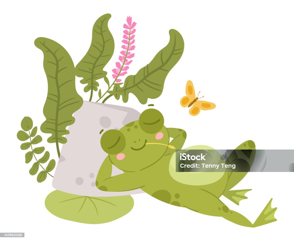만화 양서류 귀여운 쉬는 개구리 캐릭터 자연 서식지에서 잠자는 녹색 두꺼비 수련과 갈대 평면 벡터 삽화가 있는 개구리 물 동물 고요한  녹색 개구리 귀여운에 대한 스톡 벡터 아트 및 기타 이미지 -