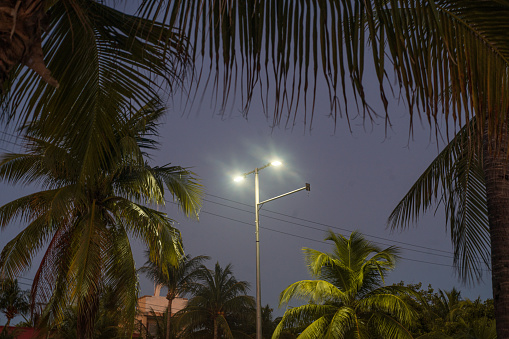 Street Lights in Isla Mujeres at Night with Palm Trees around