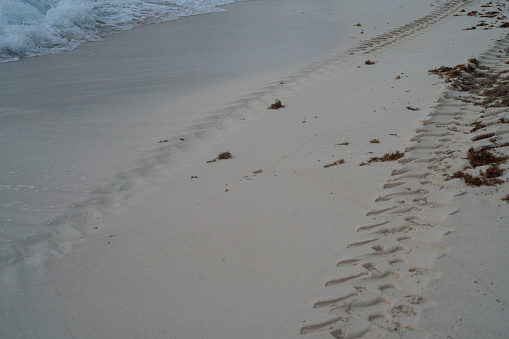 drag marks or tracks in wet sand at coast or beach