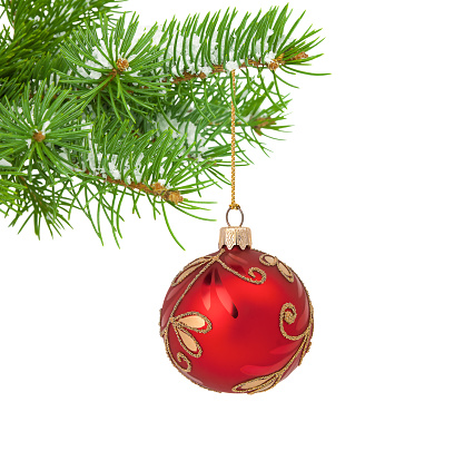 Red Christmas ornament hanging on snowy fir tree branch isolated on white background