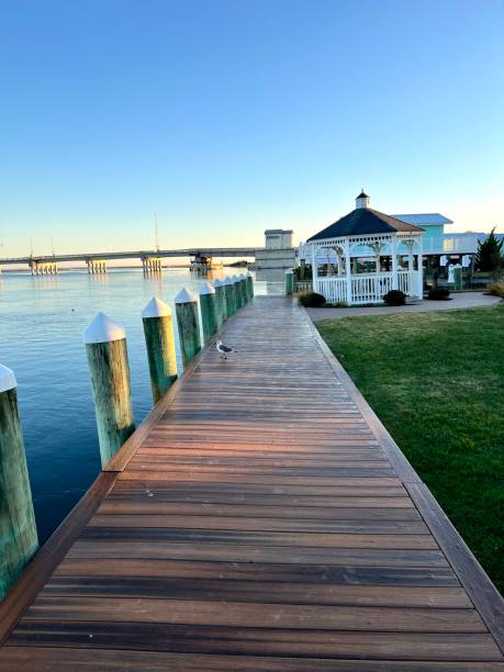 istock Chincoteague Island 1439538304