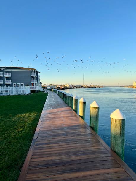 istock Chincoteague Island 1439538319