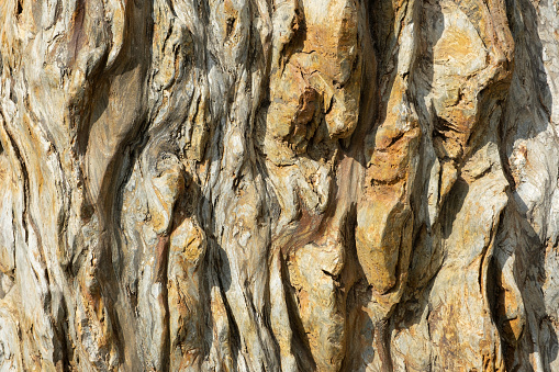 Rough embossed stone surface texture - background