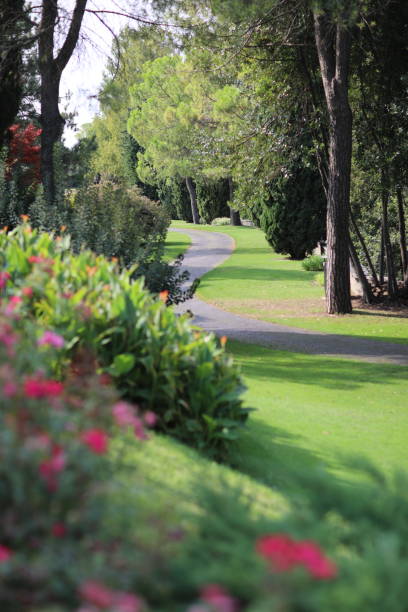 istock Photo taken in a park, with roses and a path. 1439550171