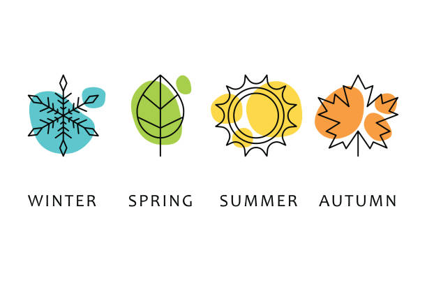 four seasons icons, signs, symbols. winter spring summer fall. snowflake, leaf, sun, autumn leaf. line art - mevsim stock illustrations