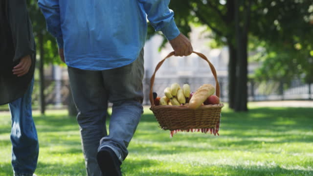 Casual couple walking in park, carrying food in basket for picnic, summer rest
