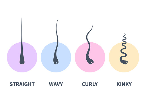 Various Strands Hair Types Chart Set Of Strands Growth Patterns Stock Illustration ...