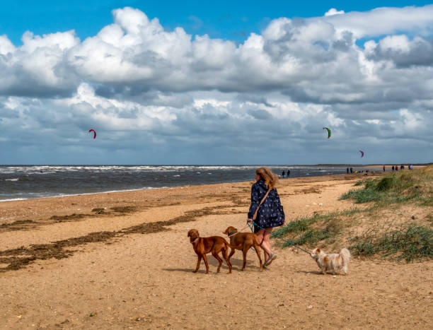 woman traveling with dog near the beach