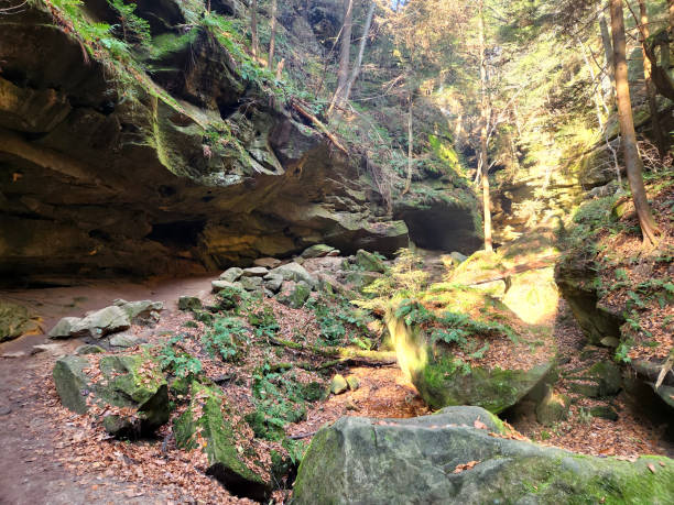 istock Ohio Nature Preserve Sunny Rock Formation 1439561886