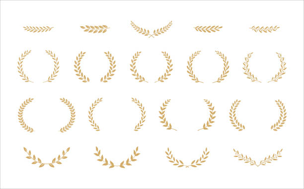 illustrazioni stock, clip art, cartoni animati e icone di tendenza di set vettoriale corona d'alloro. collezione di corone di premi foliate per festival cinematografici ecc - corona di alloro