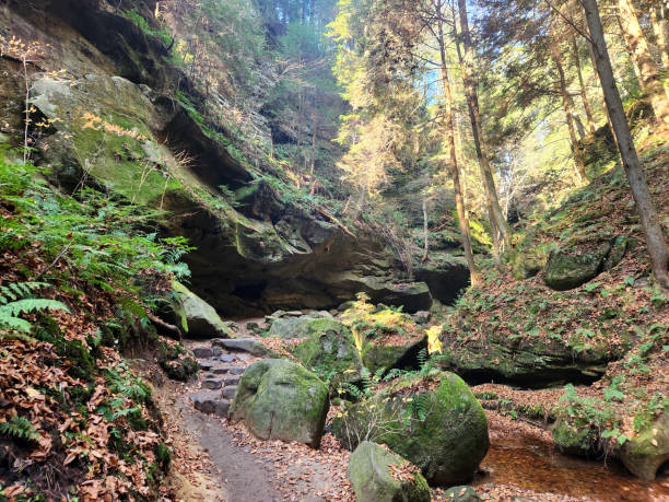 istock State Nature Preserve in Ohio 1439561965