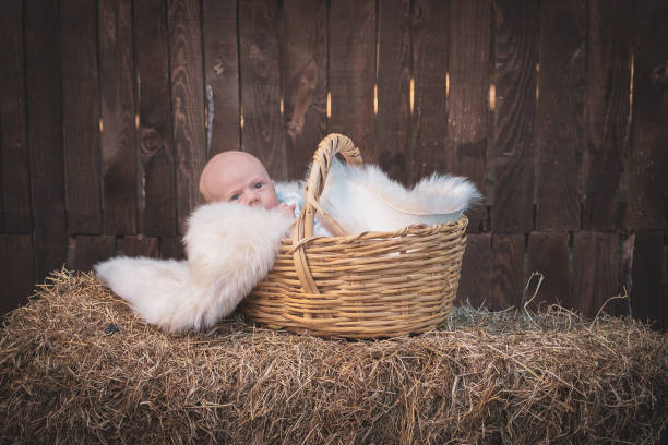 istock Peaceful Newborn Sitting in Basket Outdoors on a Farm 1439564117