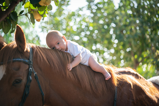 Newborn lying on the horse
