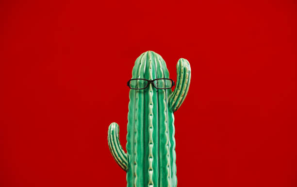 istock Fun cactus wearing eyeglasses. Red background with space for text 1439572239
