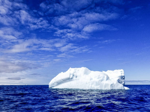istock An iceberg floating in Antarctica 1439579767
