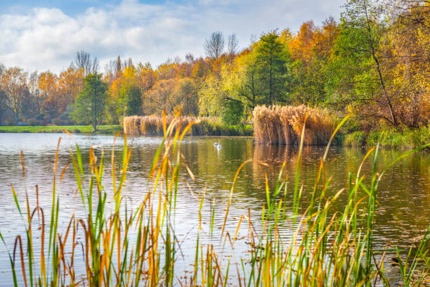 istock Morning in city park 1439582086