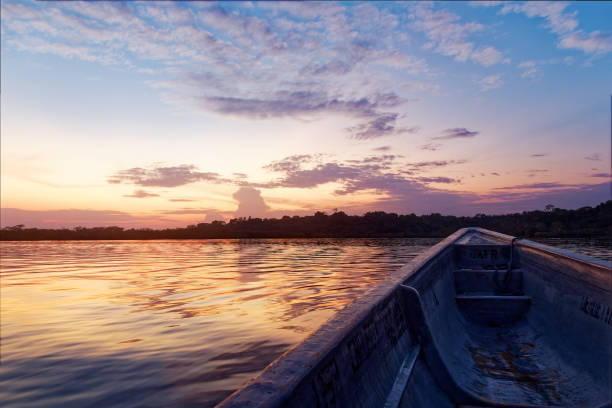 Amazonian landscape, Cuyabeno in Ecuador, sunset or sunrise in the wetland, beautiful travel experience, water reflection stock photo