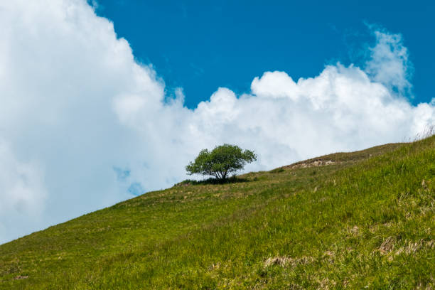 istock Beautiful Aosta valley in summer 1439582634