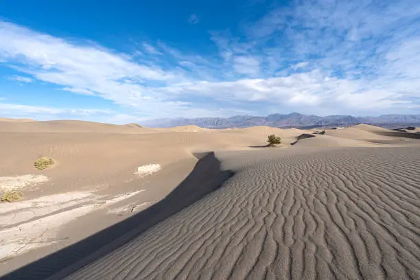 The famous Mesquite Flat Sand Dunes in the Mojave Desert's Death Valley National Park California.