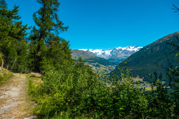 istock Beautiful Aosta valley in summer 1439584521