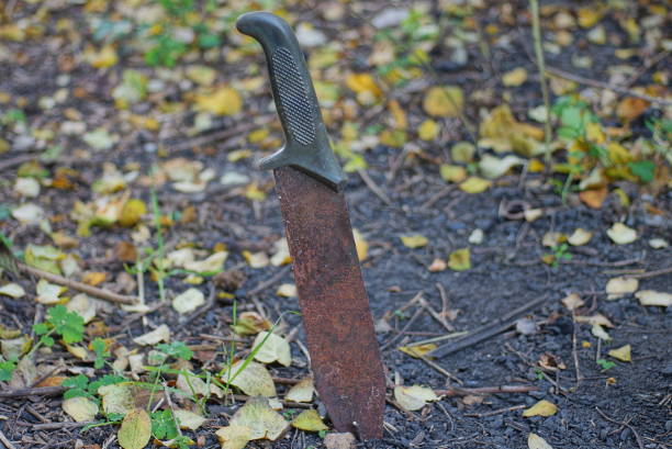 istock one brown rusty big old machete knife in gray ground 1439584705