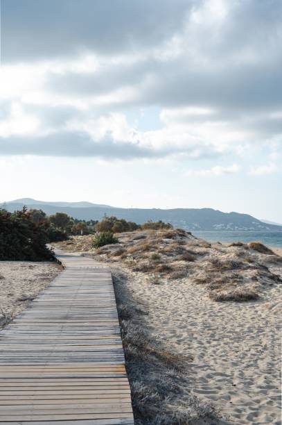 istock Plaka beach at Naxos island 1439585345
