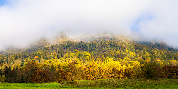 Photo of a forested hill in autumn with fog obscuring its peak.