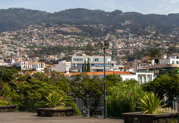 istock View on Funchal, Madeira, from above 1439589621