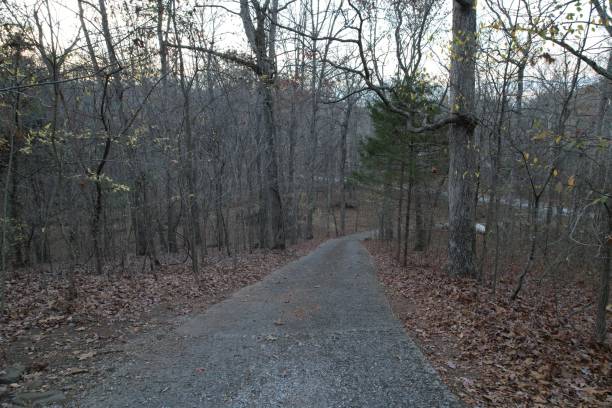 istock Southern Illinois woods and scenery 1439592445