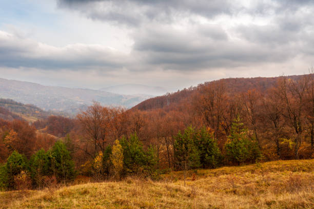 istock Beautiful Late Autumn 1439592684