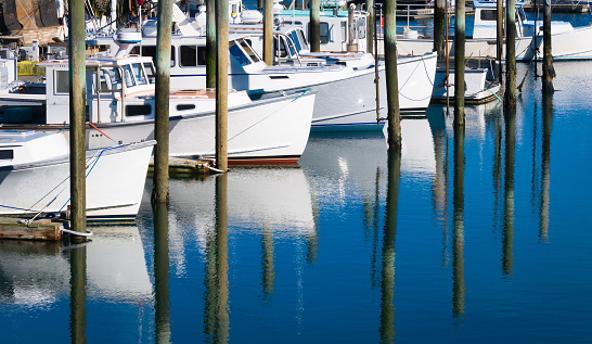 A row of small white fishing boats are reflected in the calm waters of the Sandwich Massachusetts marina on a November afternoon.