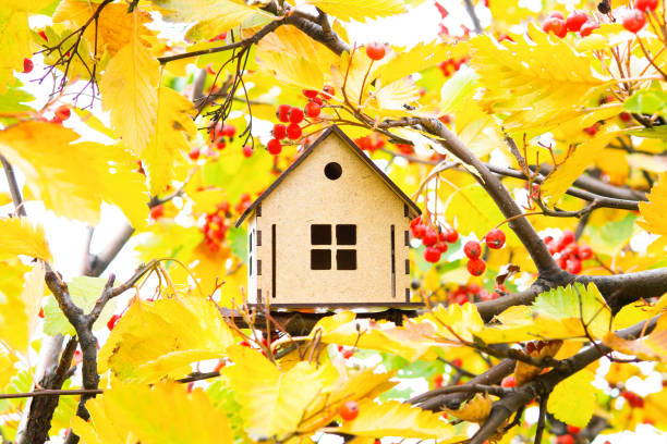 modelo de casa de madera en follaje otoñal - birdhouse house bird house rental fotografías e imágenes de stock