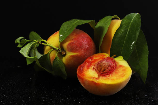 istock Ripe peaches in a cut with a branch under dark lighting. Close-up 1439604115