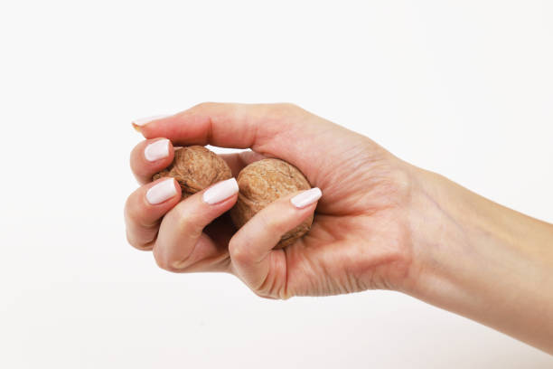istock Walnuts in a girl's hand on a white background. Close-up 1439607904