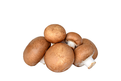 Group of brown Cremini mushrooms isolated cutout on white background