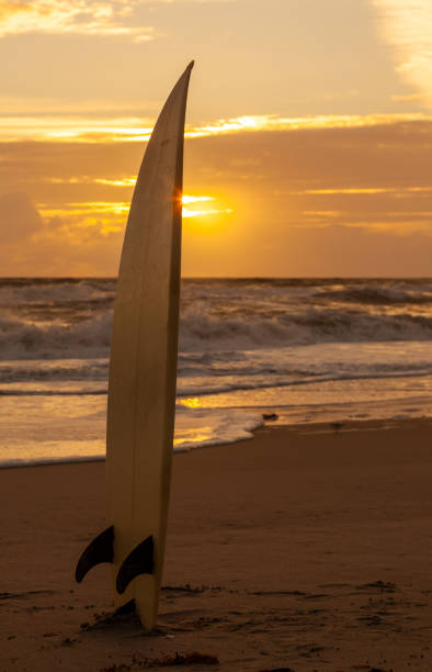 istock Surfboard Standing in the Sand on a Beach at Sunset or Sunrise 1439613183
