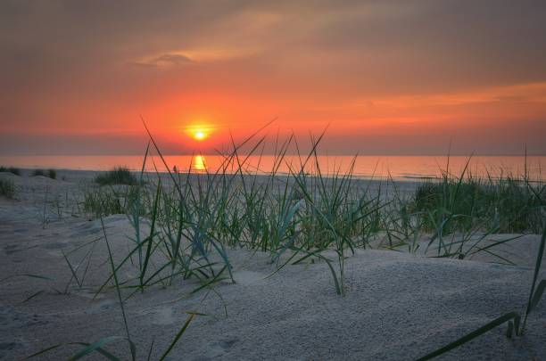 istock Sunset by the sea. 1439613270