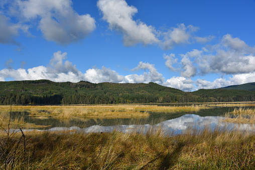 A large format panoramic landscape of the reflected forested hills and sky in the Willapa National Wildlife Refuge of Long Beach, Washington state, USA.