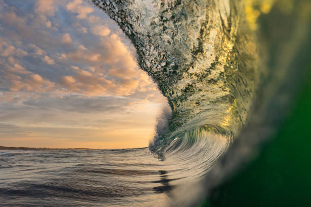 istock Golden sky with large vibrant spectacular ocean wave breaking over head 1439620646